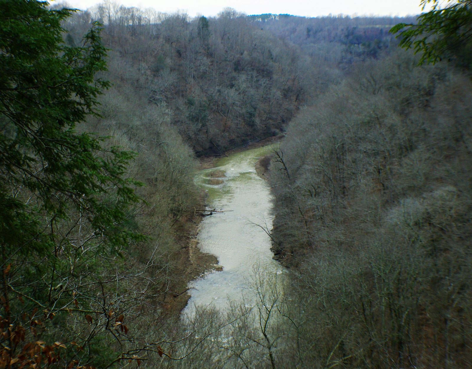 Ridgetop Trails