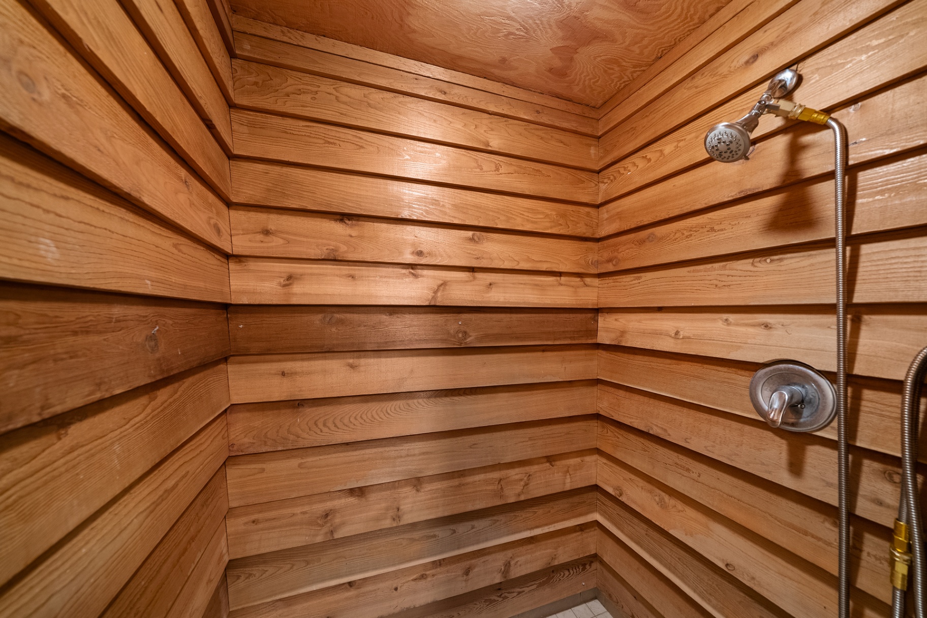 Lower level bathroom