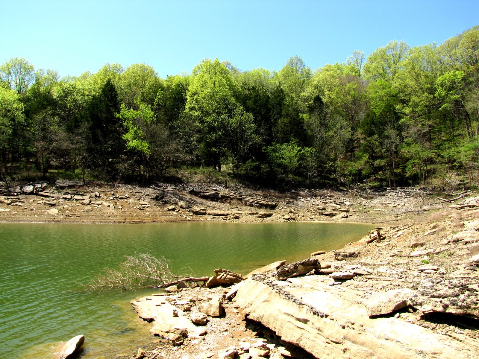 Quiet Coves