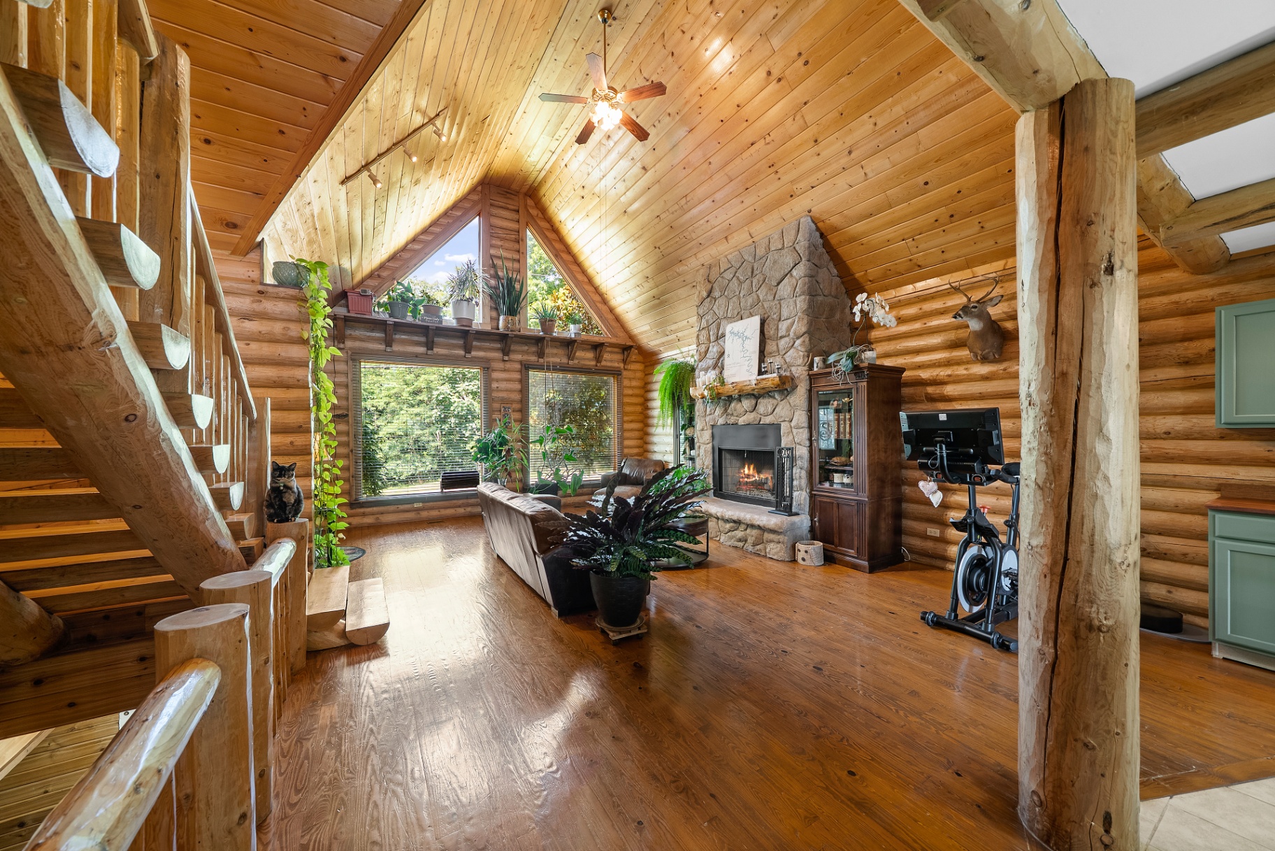 Living space with natural light